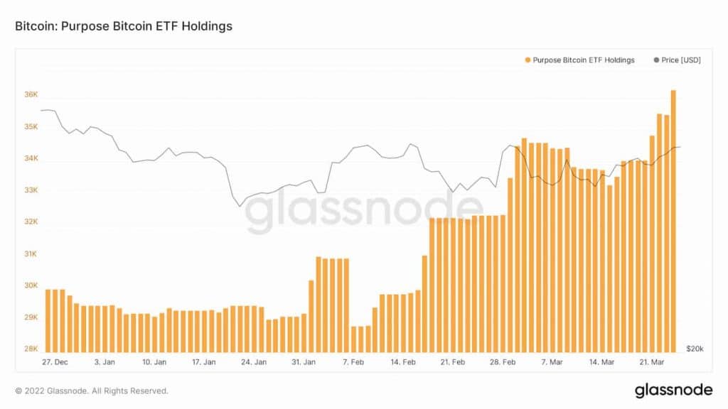 Účelové držby bitcoinových ETF