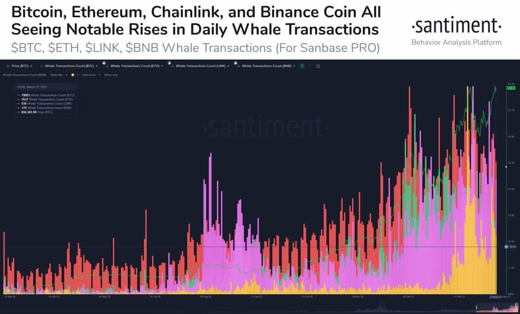santiment whales