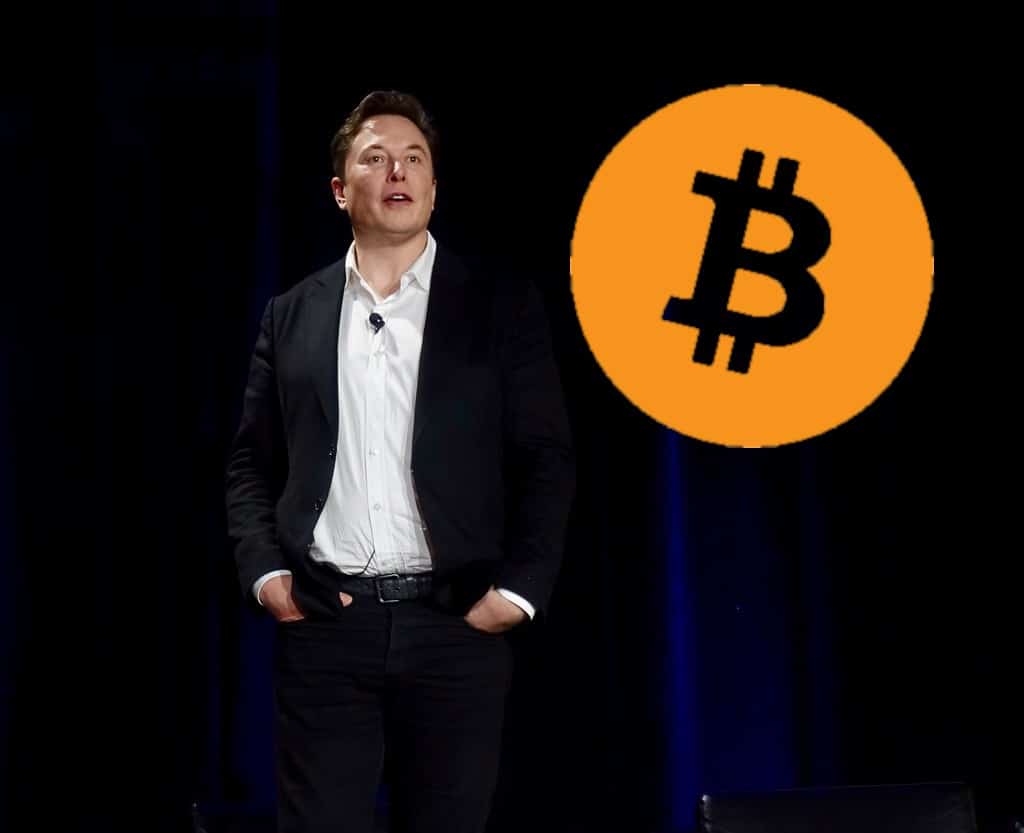 Musk, Bitcoin, brilantní