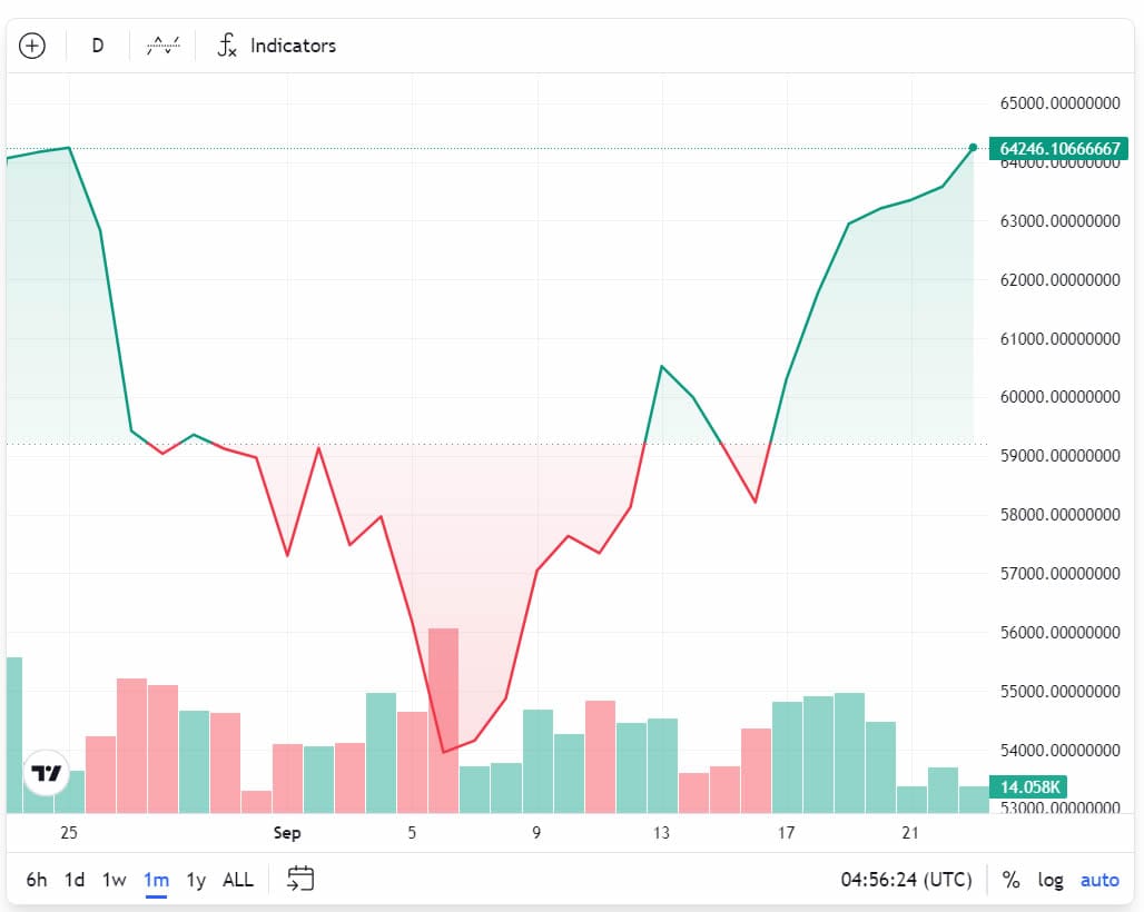 BTC/USD za poslední měsíc. Zdroj: TradingView