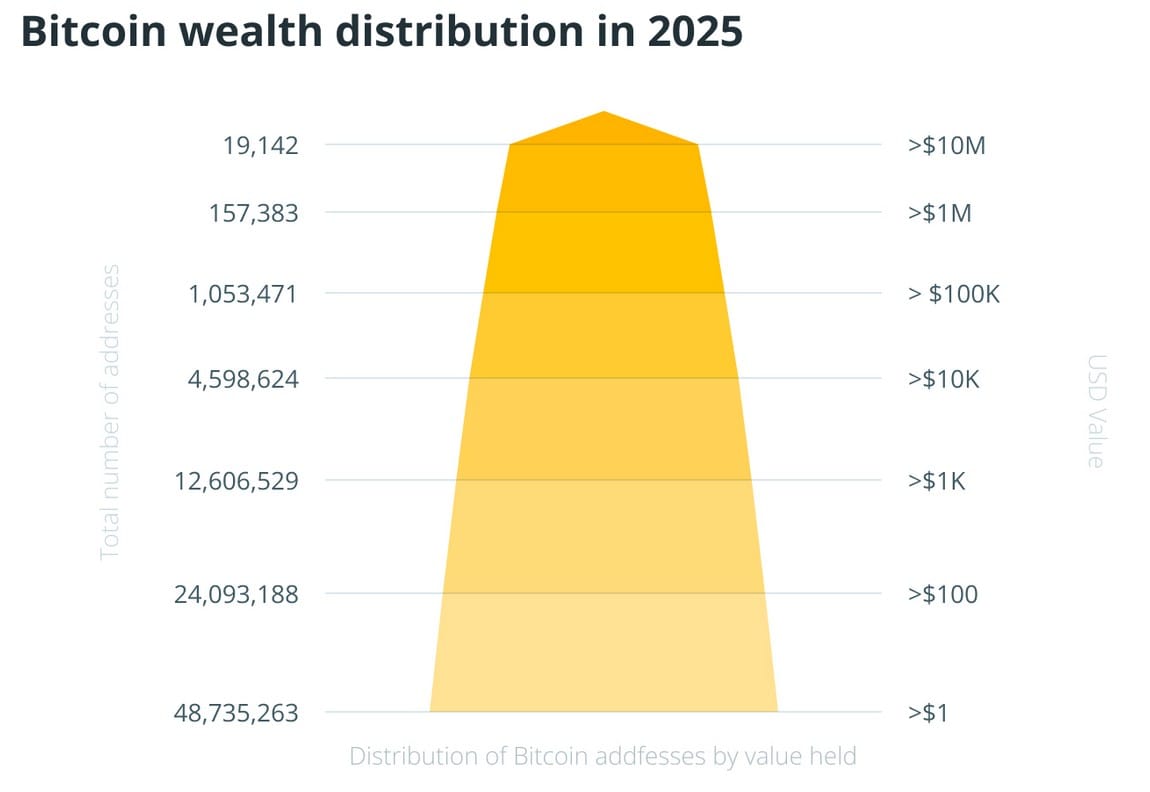 Rozložení BTC bohatství - Zdroj: btcframe na sociální síti X