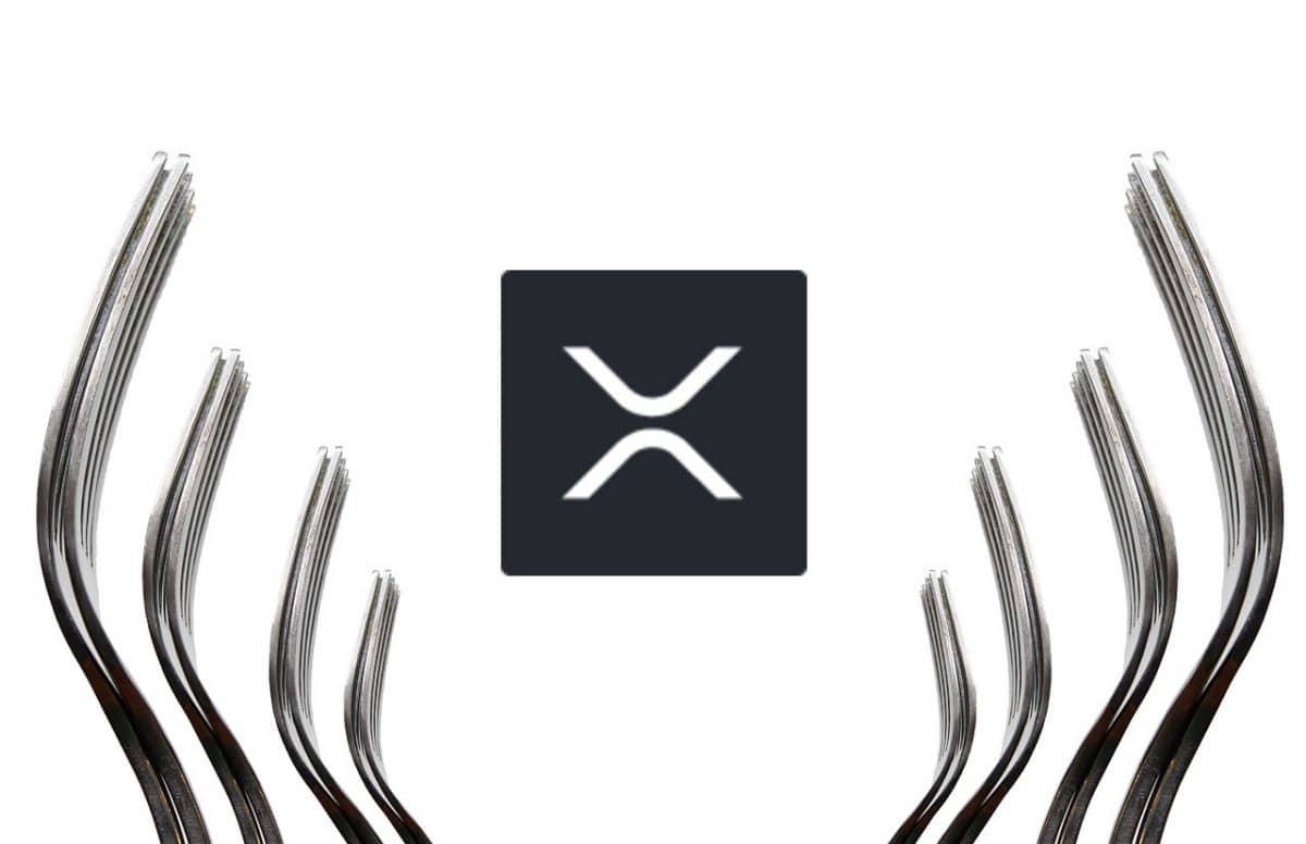 Fork, xrp, xrp one