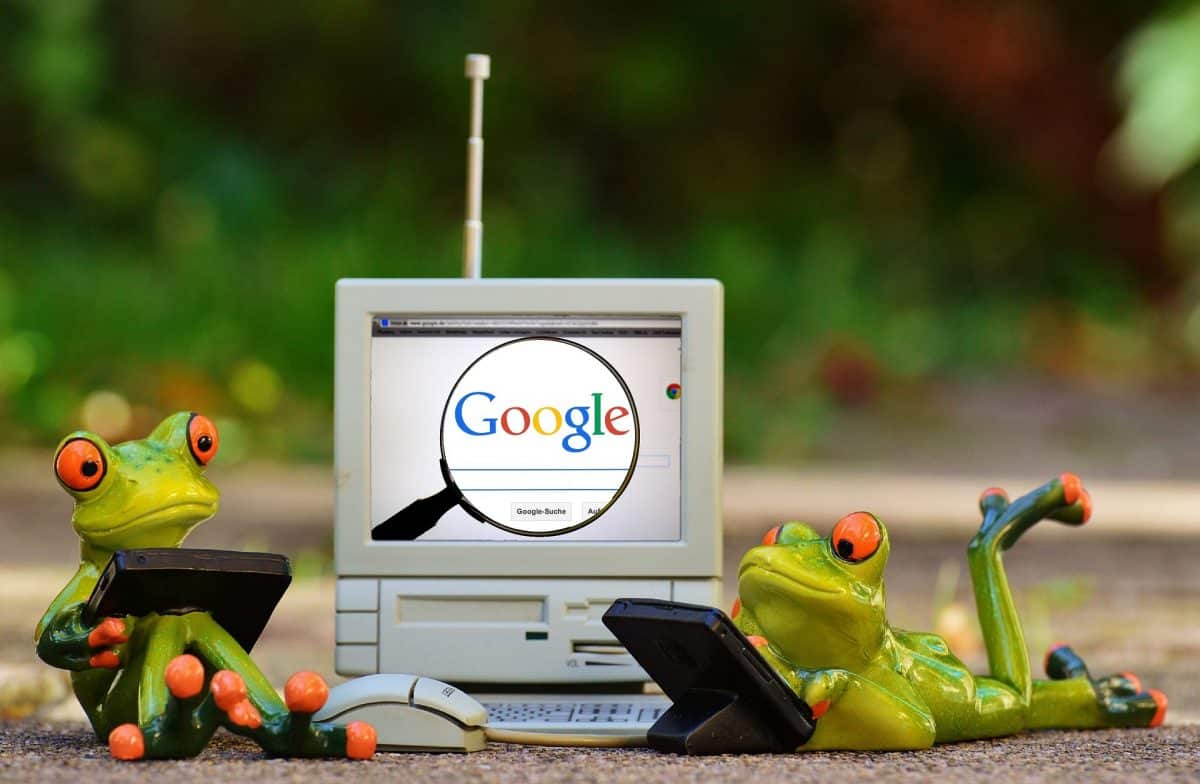 google, žáby, počítač