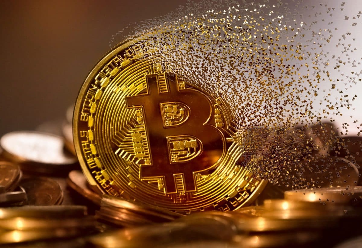 Bitcoin, trh, kryptoměny, hodl peter brandt cryptoquant