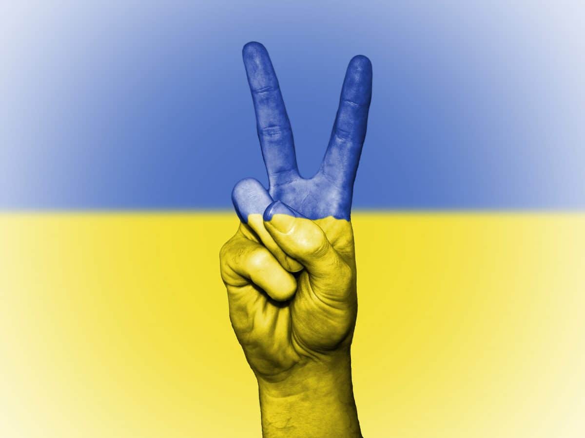 vlajka, Ukrajina, ruka