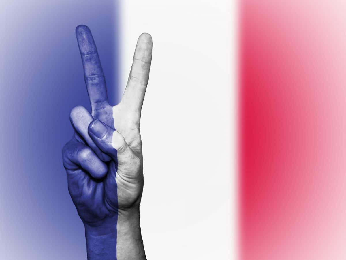 vlajka, ruka, Francie