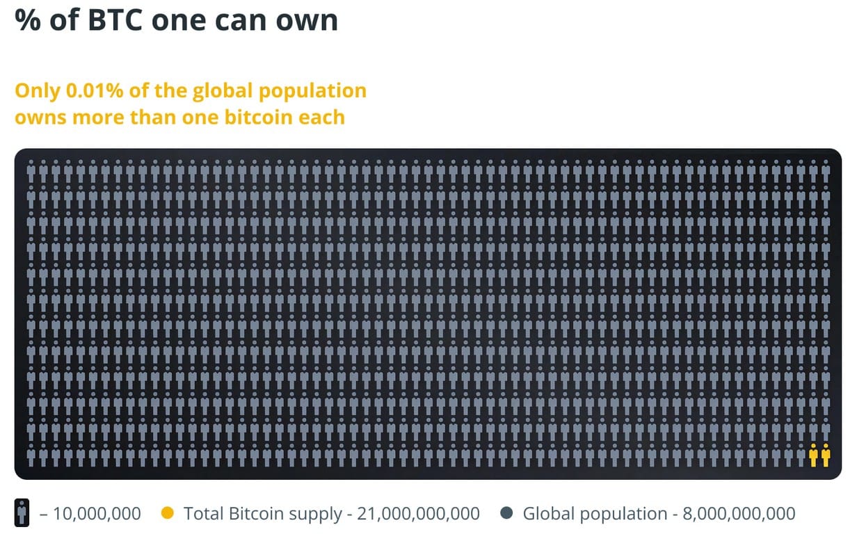 Jen velmi úzká skupinka lidí vlastní alespoň 1 celý bitcoin - Zdroj: Reddit