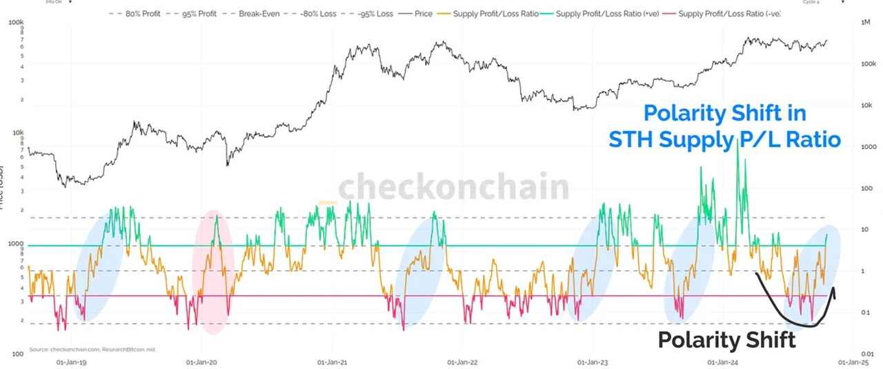 Podíl nabídky Bitcoinu krátkodobých držitelů v zisku/ztrátě. Zdroj: Checkmate