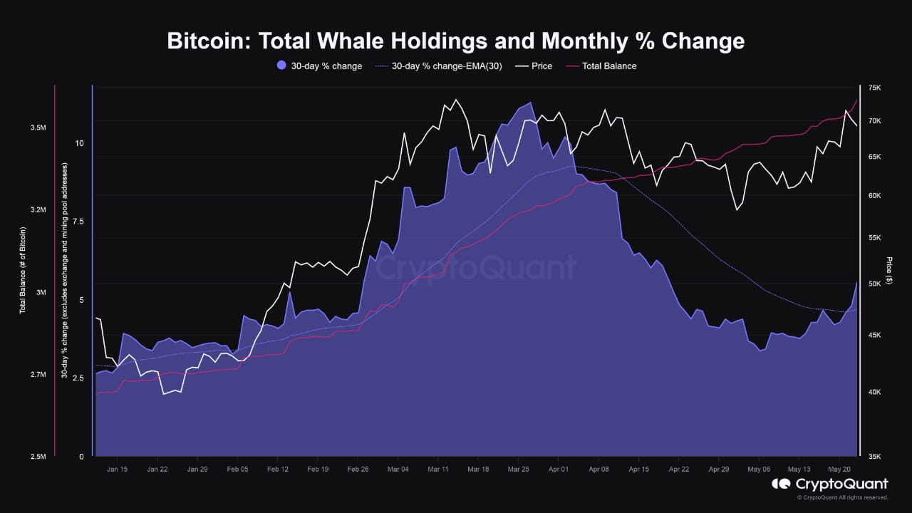 Graf zůstatků a měsíčních změn v peněženkách velryb (zdroj: CryptoQuant).