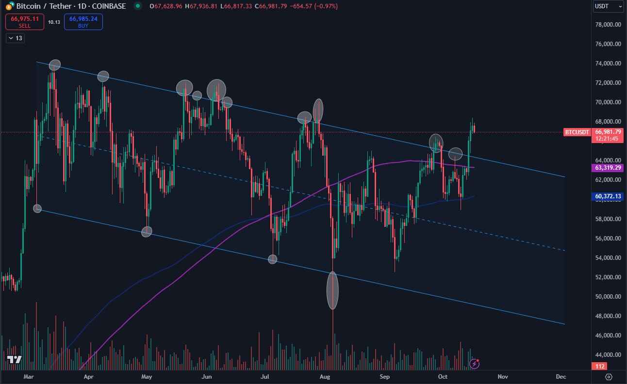 BTC/USDT 1denní graf. Zdroj: Daan Crypto Trades/X