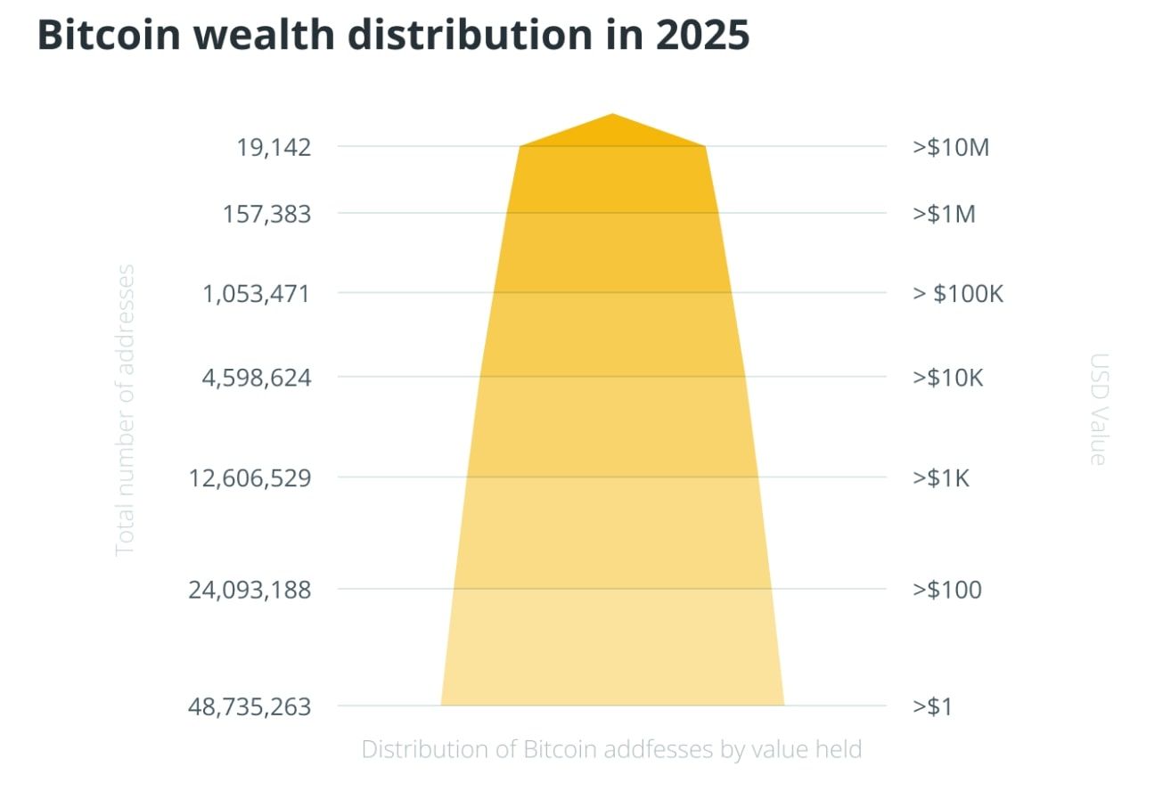 Distribuce bohatství v přepočtu drženého bitcoinu na dolary.