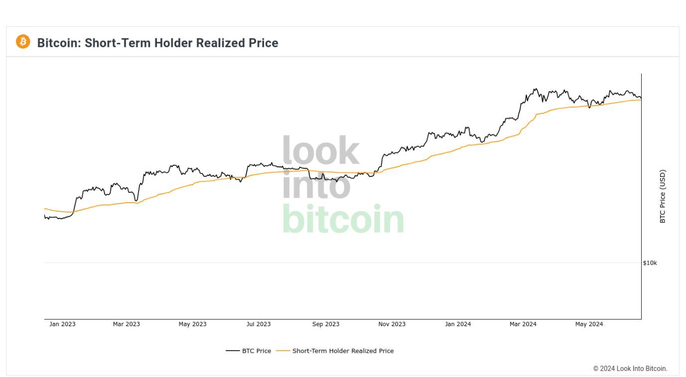Realizovaná cena STH bitcoinu. Zdroj: LookIntoBitcoin 