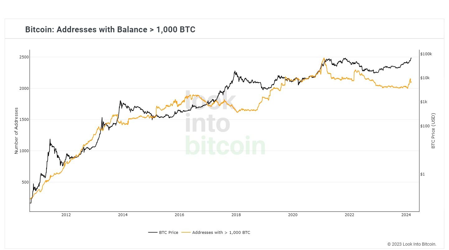 Adresy s balancem BTC vyšším než 1000BTC.