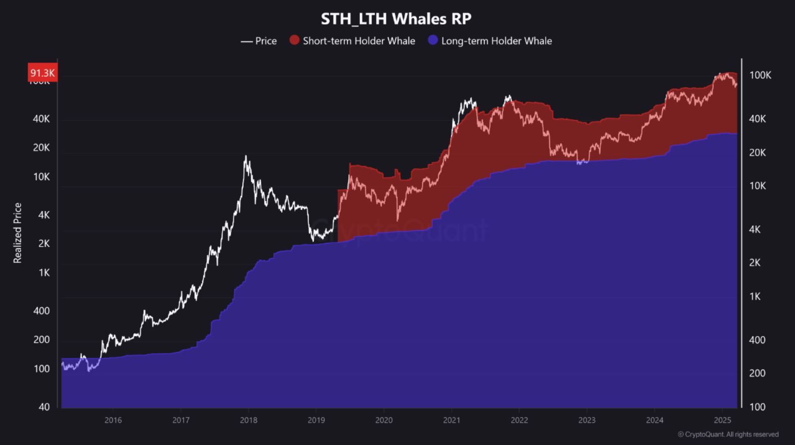 On-chain dat short term holder a long term holder whale. Zdroj: CryptoQuant