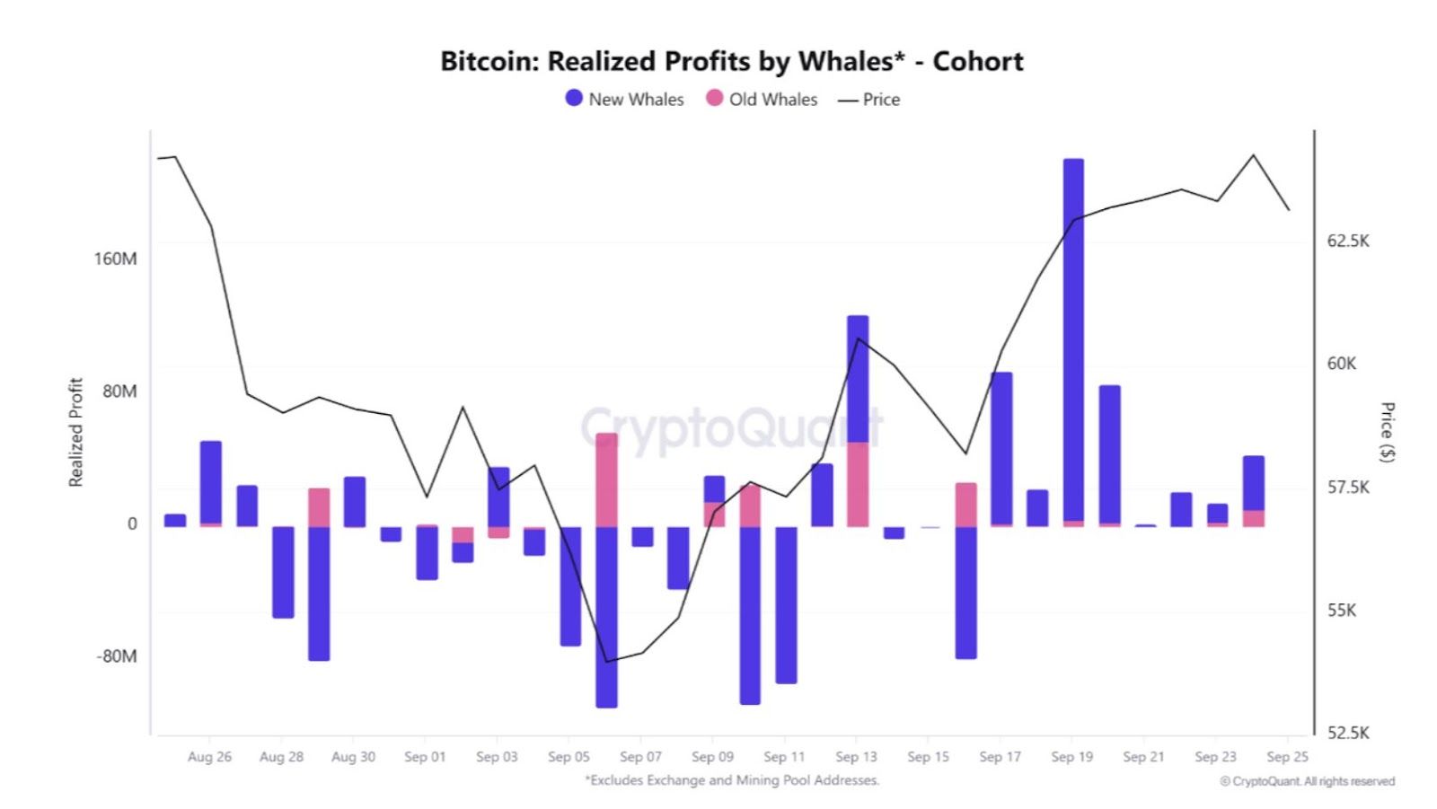 Realizované zisky tzv. velrybami. Zdroj: CryptoQuant