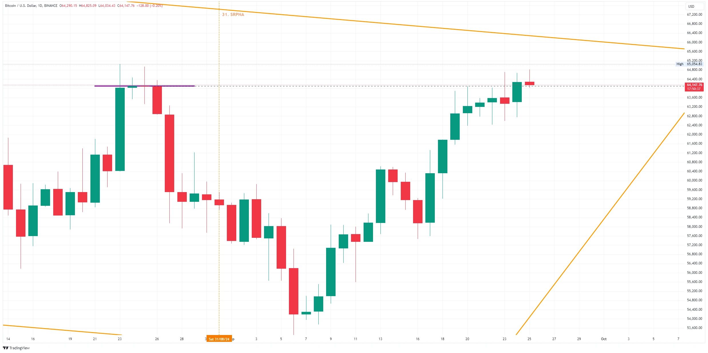Denní graf kurzu ceny bitcoinu s vyznačenou úrovní posledního nižšího high (zdroj: TradingView).