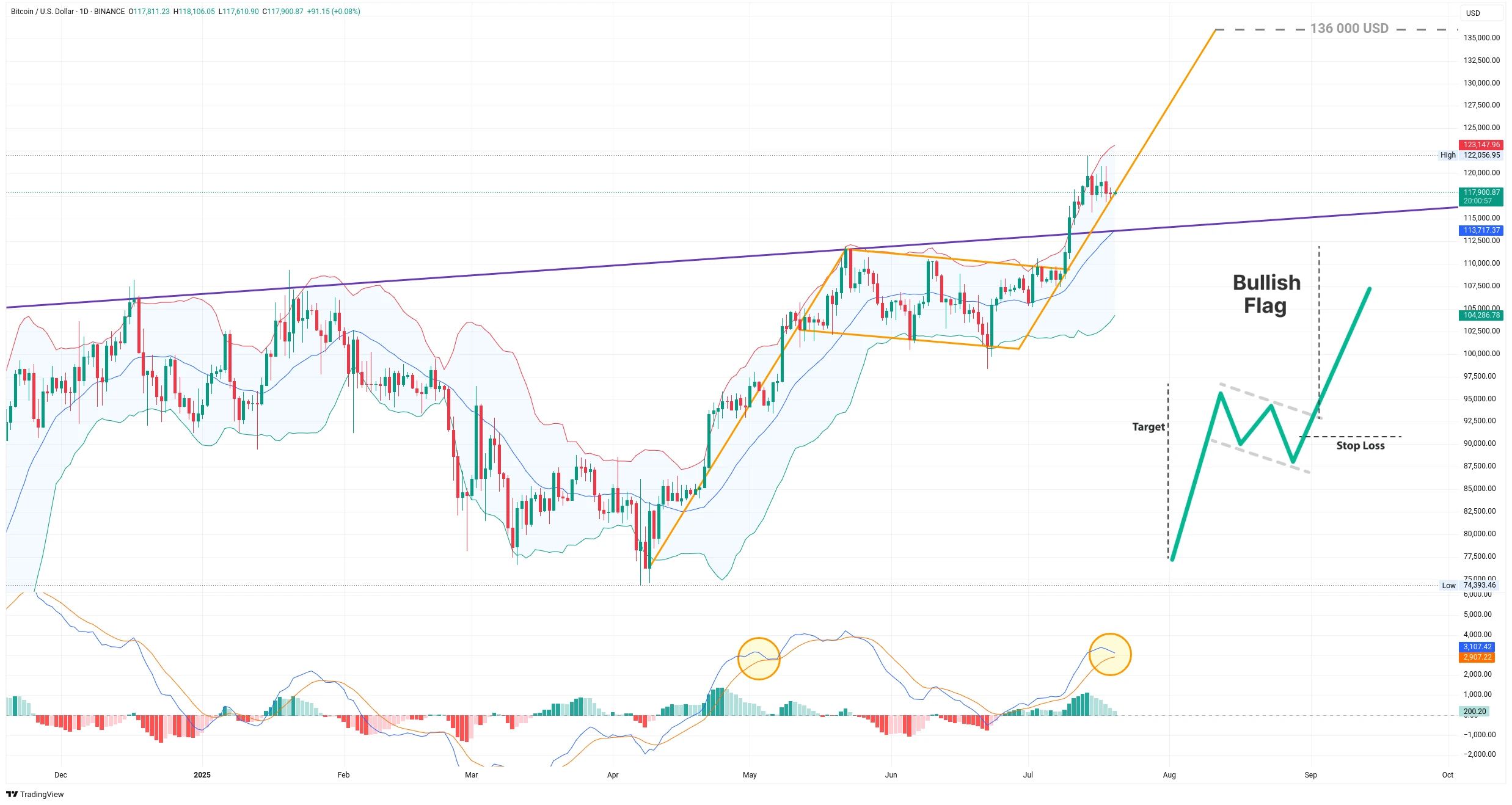 Denní graf kurzu ceny Bitcoinu s býčí vlajkou a indikátorem MACD (zdroj: TradingView).