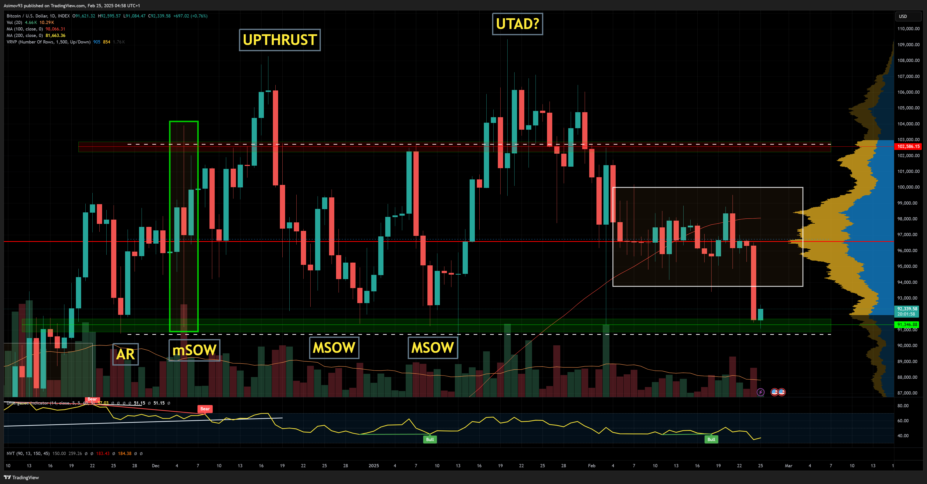 Cena bitcoinu na denním grafu klesla na 91 000 dolarů. Zdroj: Jaroslav Jarolím