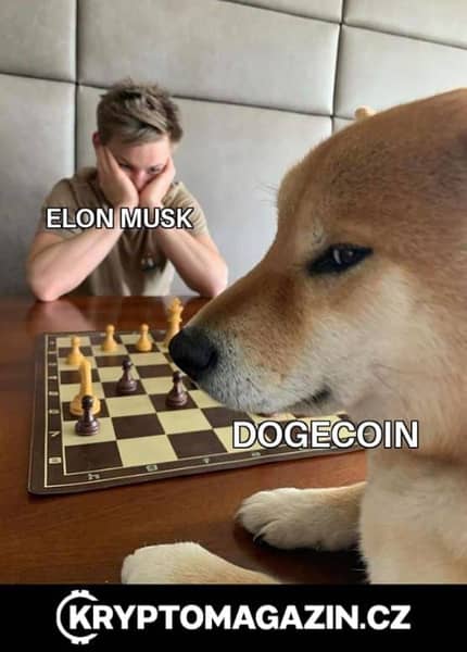 MEME