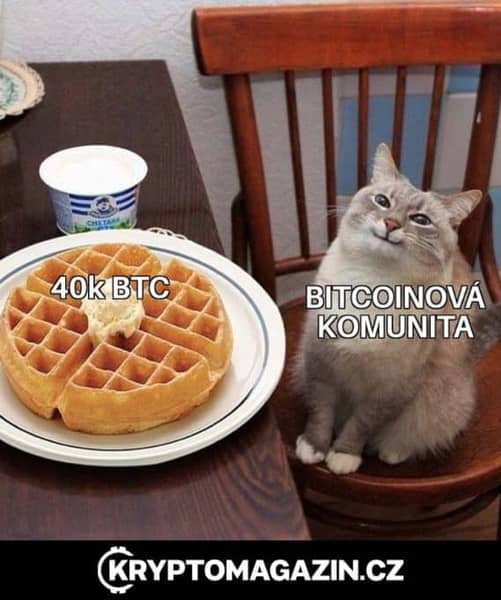 meme