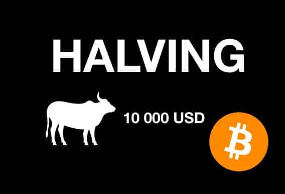 halving, bitcoin