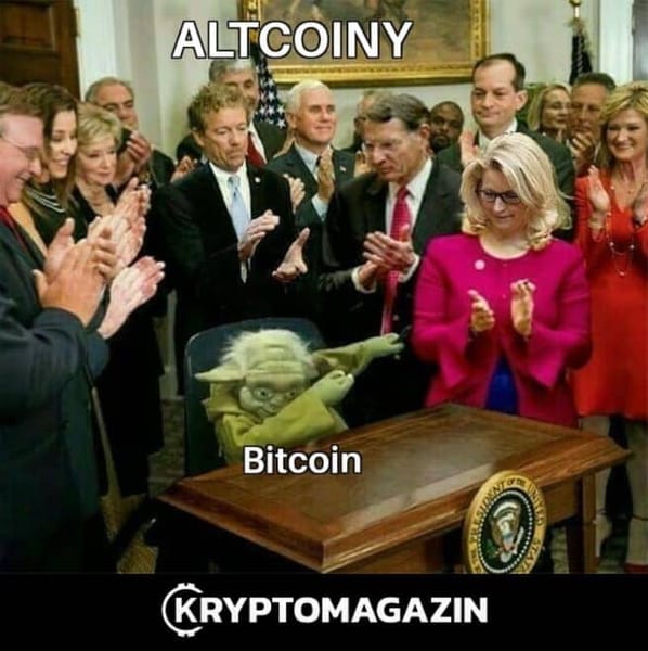 bitcoin, altcoiny, meme