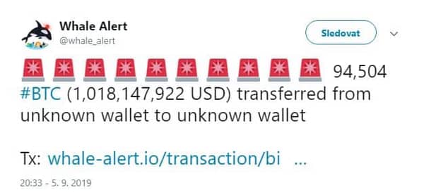 whale alert