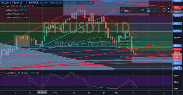 Bitcoin predikce (graf)