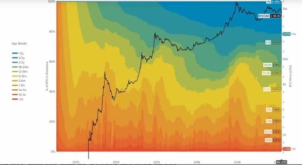 Bitcoin hodl waves diagram