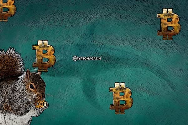 velryby BTC