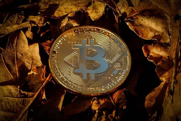bitcoin, zprávy, události, novinky