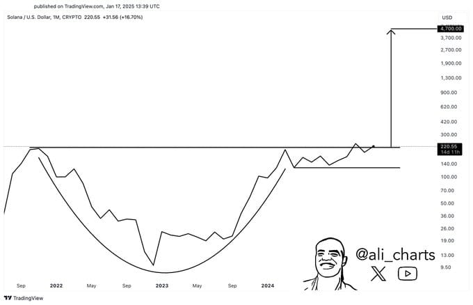 Solana na měsíčním grafu. Zdroj: Ali Martinez / TradingView
