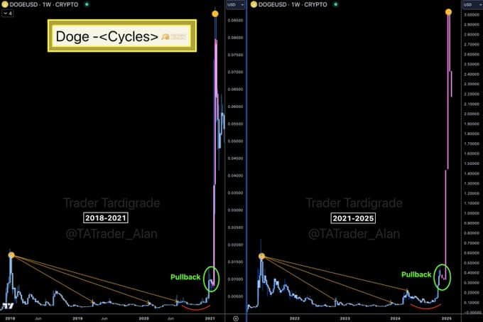 Cykly na dogecoinu. Zdroj: TradingView/Trader Tardigrade