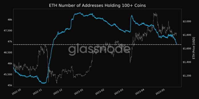 Modrá linka ukazuje počet peněženek držících více než 100 tokenů Etherea, šedivě je pak cena tokenu (zdroj: Glassnode).