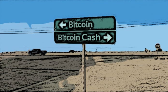 Bitcoin je nejméně volatilní ze všech top kryptoměn – Bitcoin Cash zase nejvíce