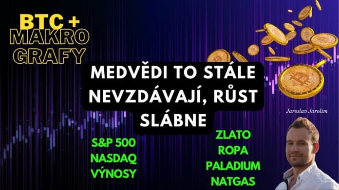 19.02.23 Video analýza: Bitcoin + makro grafy – Medvědi to stále nevzdávají, růst slábne