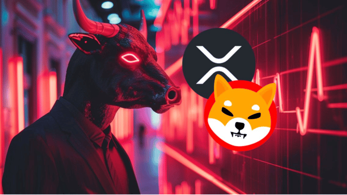 XYZ