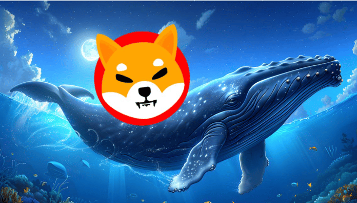 XYZ
