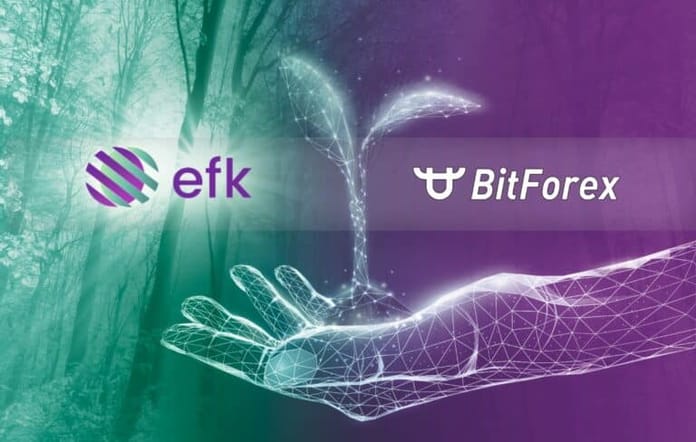 EFK platform vstupuje na burzu BitForex