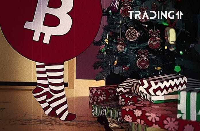 Trh s kryptoměnami se probouzí – vydělejte si na vánoční dárky díky zvýšené volatilitě