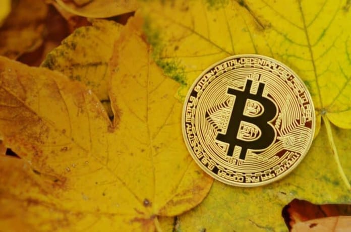 18.01.21 [Přehled trhu a BTC/USD] Investoři na Bitcoinu započali nový obchodní týden!