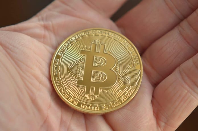 Top 10 největších hodlerů Bitcoinu na světě