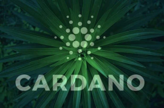 Cardano bojuje proti změně klimatu
