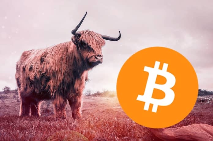 Bitcoin, býk btc