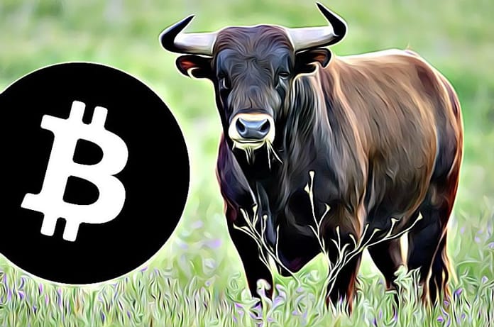 bitcoin-bull-market