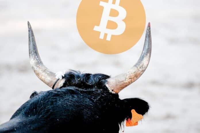 bull bitcoin byk btc bloomberg