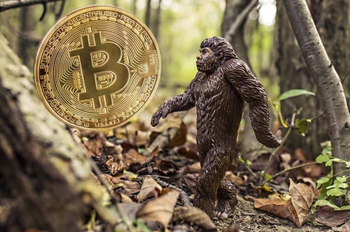 evoluce btc