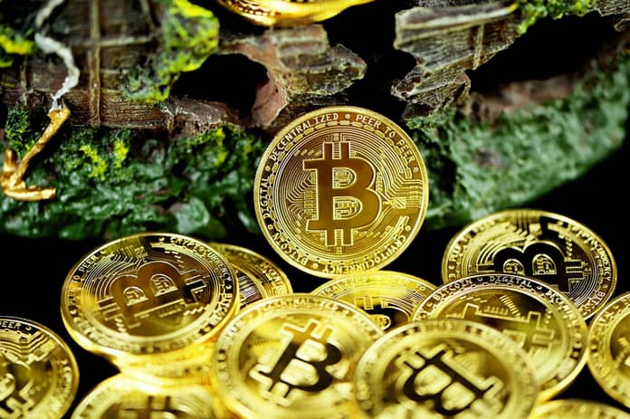ark bitcoin