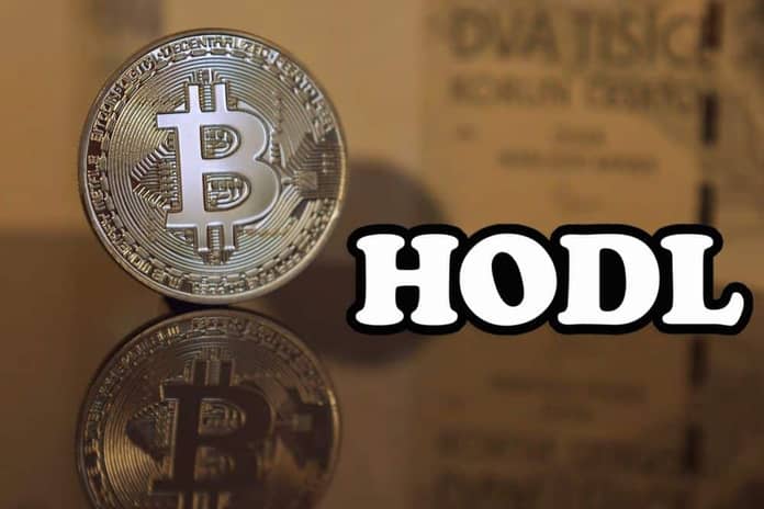 bitcoin btc hodl