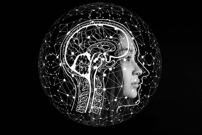 Neurolingvistické programování (NLP) a jak nám může pomoci s obchodováním? 2. díl